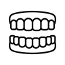 Full upper and lower arch of teeth